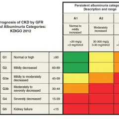 Tabela KDIGO 2012: prognoza PChN wg GFR i albuminurii. Badanie GFR jest kluczowe.