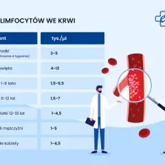 Tabela norm limfocytów we krwi dla różnych grup wiekowych. Podwyższone limfocyty mogą wskazywać na infekcję.