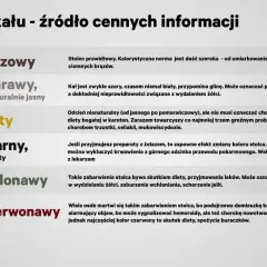 Czarny, smolisty stolec może być efektem przyjmowania żelaza, ale też sygnałem krwawienia z górnego odcinka przewodu pokarmowego. Warto skonsultować się z lekarzem.