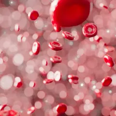 Czerwone krwinki unoszą się w krwiobiegu, tworząc dynamiczny obraz. To epo, w którym życie płynie.