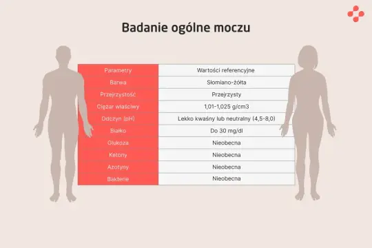 Tabela z parametrami badania ogólnego moczu, w tym kolorem, przejrzystością i obecnością bakterii. Wyniki są porównywane z wartościami referencyjnymi.