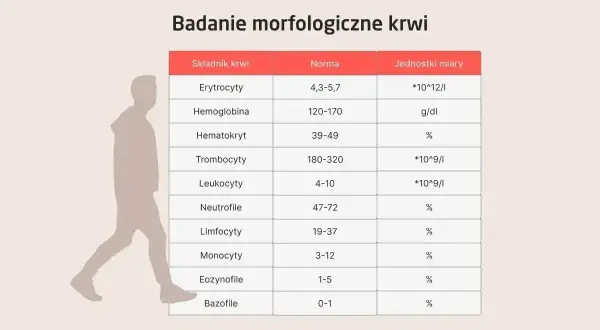 Tabela z badaniem morfologicznym krwi, uwzględniająca normy dla neutrofili. Niska liczba neutrofili może wskazywać na neutropenię.