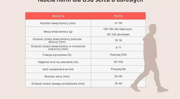 Tabela norm dla USG serca. Wskazuje rozmiar, masę i grubość ścian lewej komory, frakcję wyrzutową, objętość krwi na uderzenie, ilość wydalanej krwi, rozmiar aorty i grubość ściany lewego przedsionka. To jak echo serca w liczbach.