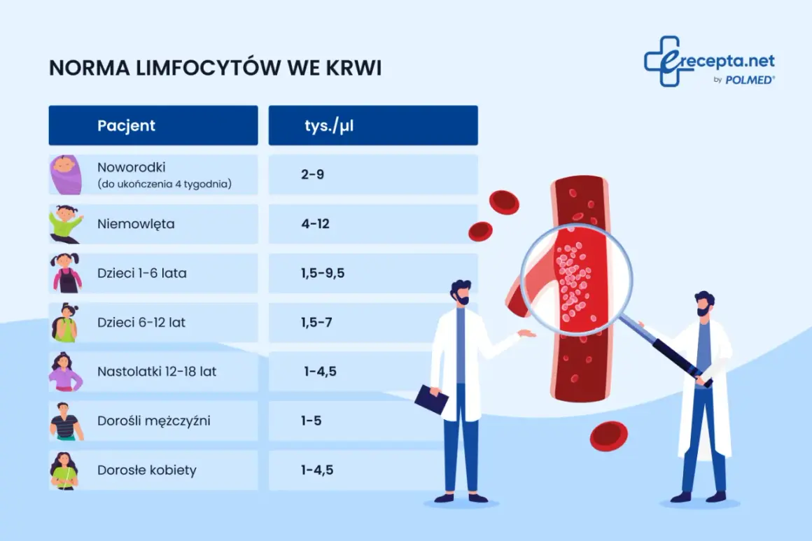Tabela norm limfocytów we krwi dla różnych grup wiekowych. Podwyższone limfocyty mogą wskazywać na infekcję.