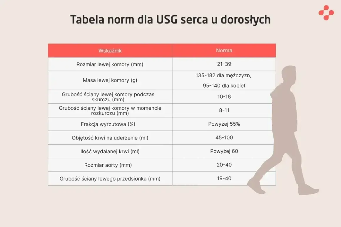 Tabela norm dla USG serca. Wskazuje rozmiar, masę i grubość ścian lewej komory, frakcję wyrzutową, objętość krwi na uderzenie, ilość wydalanej krwi, rozmiar aorty i grubość ściany lewego przedsionka. To jak echo serca w liczbach.