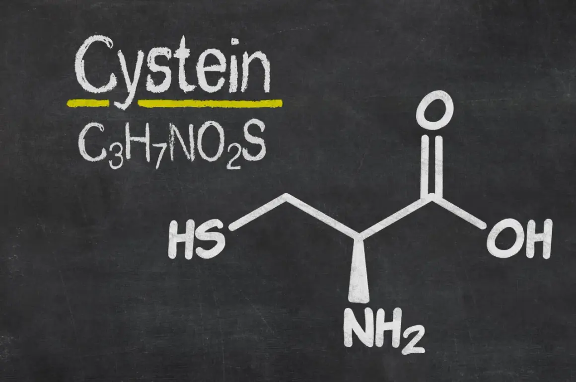 Struktura chemiczna cysteiny (C₃H₇NO₂S) z grupami HS, NH₂ i OH.
