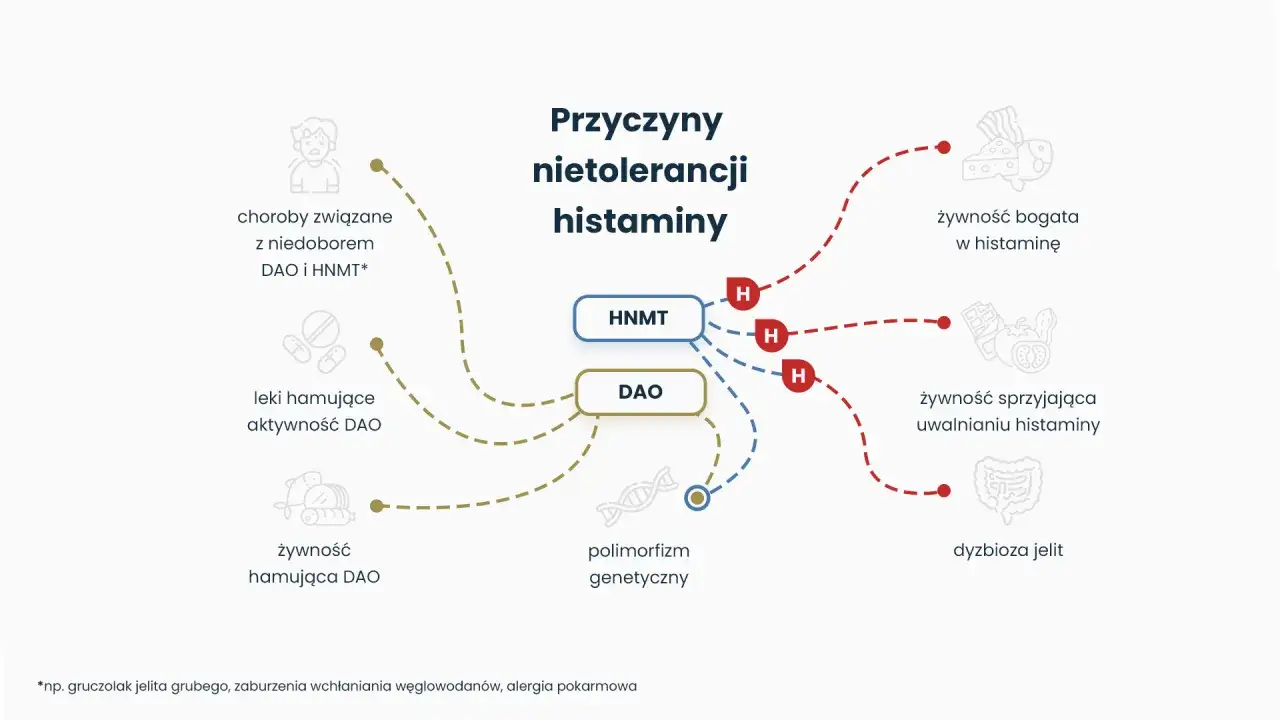 Schemat przyczyn nietolerancji histaminy: choroby, leki, żywność bogata w histaminę, polimorfizm genetyczny i dyzbioza jelit.