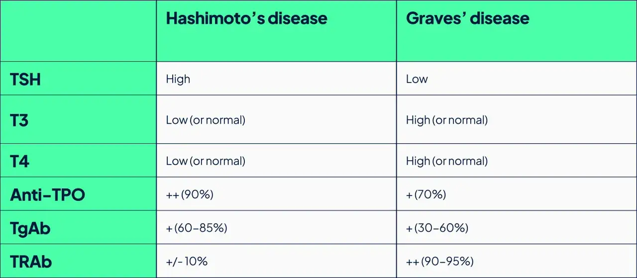 Tabela porównująca Hashimoto i Gravesa. W Hashimoto anty-TPO jest ++ (90%), a w Gravesie + (70%).