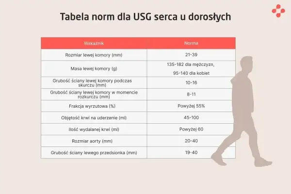 Tabela norm dla USG serca. Wskazuje rozmiar, masę i grubość ścian lewej komory, frakcję wyrzutową, objętość krwi na uderzenie, ilość wydalanej krwi, rozmiar aorty i grubość ściany lewego przedsionka. To jak echo serca w liczbach.