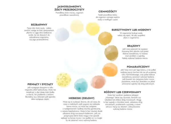 Jasny, słomkowy mocz to norma. Ciemnożółty mocz może oznaczać potrzebę nawodnienia. Zielony mocz jest rzadki, może wskazywać na problemy zdrowotne.