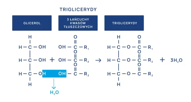 Wysokie triglicerydy - Kiedy milczą, a kiedy alarmują?